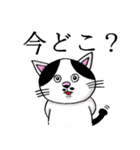 べぷりんしゃんてんとん（個別スタンプ：17）