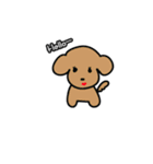 Love pet（個別スタンプ：37）