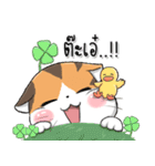 Soidow6（個別スタンプ：25）