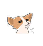 まいにちわんこ（個別スタンプ：3）