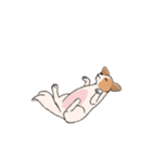 まいにちわんこ（個別スタンプ：5）