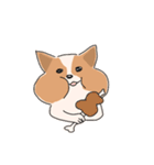 まいにちわんこ（個別スタンプ：7）