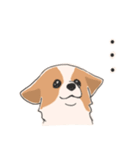まいにちわんこ（個別スタンプ：11）