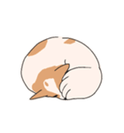 まいにちわんこ（個別スタンプ：16）