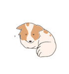 まいにちわんこ（個別スタンプ：17）