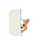 まいにちわんこ（個別スタンプ：18）