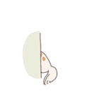 まいにちわんこ（個別スタンプ：19）