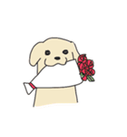 まいにちわんこ（個別スタンプ：25）