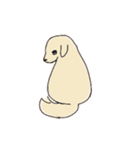 まいにちわんこ（個別スタンプ：29）