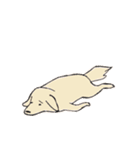 まいにちわんこ（個別スタンプ：30）