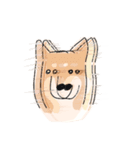 まいにちわんこ（個別スタンプ：37）
