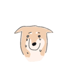まいにちわんこ（個別スタンプ：39）