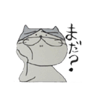 ねこのタカヒロさん（個別スタンプ：1）