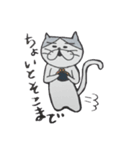 ねこのタカヒロさん（個別スタンプ：5）
