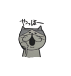 ねこのタカヒロさん（個別スタンプ：10）