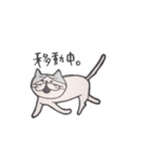 ねこのタカヒロさん（個別スタンプ：31）