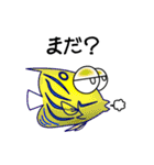 アンダマン海の魚たち vol.1（個別スタンプ：33）