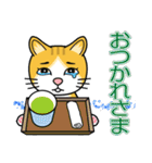 涙目ぬ猫（個別スタンプ：1）