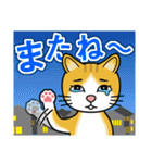 涙目ぬ猫（個別スタンプ：3）