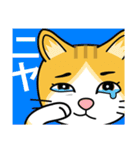 涙目ぬ猫（個別スタンプ：12）