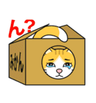 涙目ぬ猫（個別スタンプ：15）