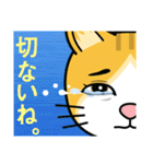 涙目ぬ猫（個別スタンプ：26）