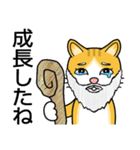 涙目ぬ猫（個別スタンプ：34）