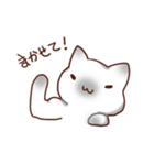 毎日シャム猫（個別スタンプ：4）