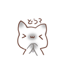 毎日シャム猫（個別スタンプ：6）