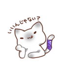 毎日シャム猫（個別スタンプ：7）