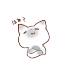毎日シャム猫（個別スタンプ：8）