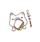 毎日シャム猫（個別スタンプ：11）
