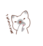 毎日シャム猫（個別スタンプ：12）