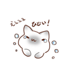 毎日シャム猫（個別スタンプ：14）