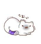 毎日シャム猫（個別スタンプ：20）