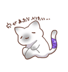 毎日シャム猫（個別スタンプ：30）
