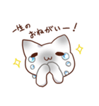 毎日シャム猫（個別スタンプ：32）