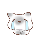 毎日シャム猫（個別スタンプ：37）