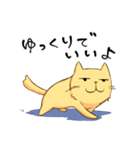 ぽちゃにゃんこ（個別スタンプ：35）