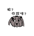 Da Zhi Wolf~Yuan Yuan（個別スタンプ：14）