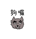 Da Zhi Wolf~Yuan Yuan（個別スタンプ：37）