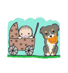オーストラリアンシェパードセラとKちゃん（個別スタンプ：37）