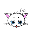 まろまゆ猫様（個別スタンプ：9）