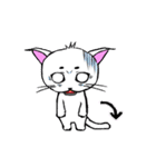 まろまゆ猫様（個別スタンプ：12）