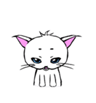 まろまゆ猫様（個別スタンプ：13）
