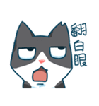 Tuxedo cat - chun chun（個別スタンプ：5）