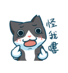 Tuxedo cat - chun chun（個別スタンプ：7）