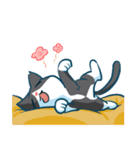 Tuxedo cat - chun chun（個別スタンプ：25）