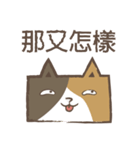 poker cat（個別スタンプ：2）