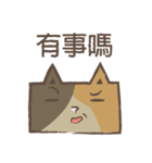 poker cat（個別スタンプ：4）